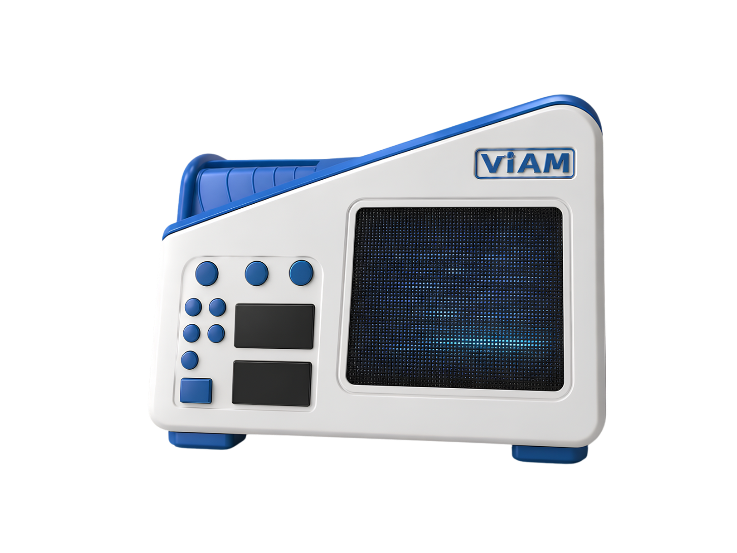 Prototipo de ViamVision
